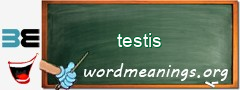 WordMeaning blackboard for testis